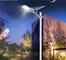 Lampu Tiang Surya Tahan Air Penerangan Luar Ruangan IP65 LED Solar Street Light Garansi 3 Tahun