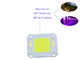 4046 Series 200w COB LED Diode High Power Led Street Light Cob Flip Chip
