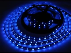 DC12V Digital Dual Signal Line IP65 WS2815 SMD5050 96Pixel RGBICAAddressable Led Strip