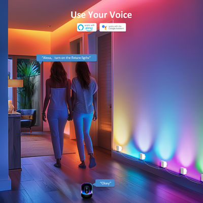 Kontrol Bluetooth Adresable RGBCW Smart Wall Sconces / Eave Lights Untuk Dekorasi Natal