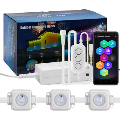 Pixel Light Natal Dekorasi Rumah Berwarna-warni 2024 RGB Diprogram LED Bentuk IP65 Waterproof Holiday Lighting